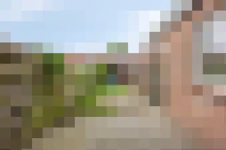 Leeuwerikstraat 41 Goor thumbnail 30