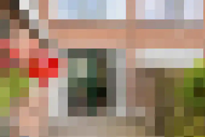 Leeuwerikstraat 41 Goor thumbnail 31