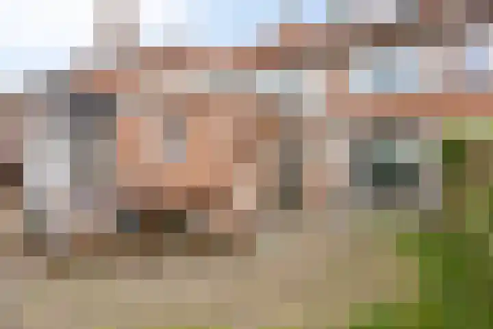 Leeuwerikstraat 41 Goor thumbnail 32
