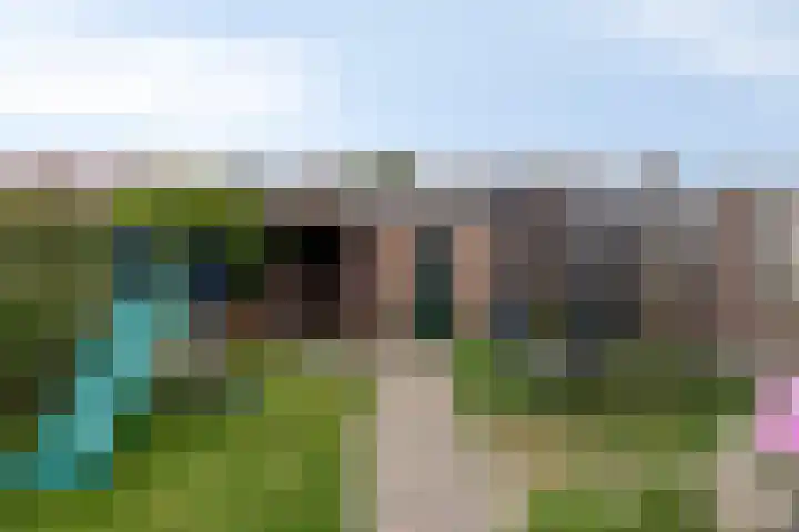 Leeuwerikstraat 41 Goor thumbnail 34