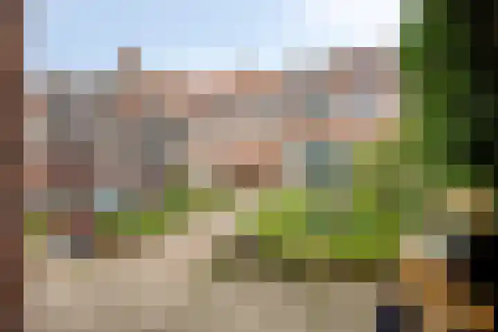 Leeuwerikstraat 41 Goor thumbnail 35