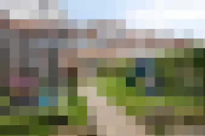 Leeuwerikstraat 41 Goor thumbnail 37