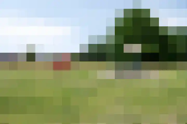 Leeuwerikstraat 41 Goor thumbnail 38