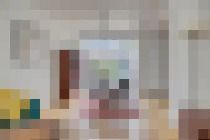 Leeuwerikstraat 41 Goor thumbnail 8