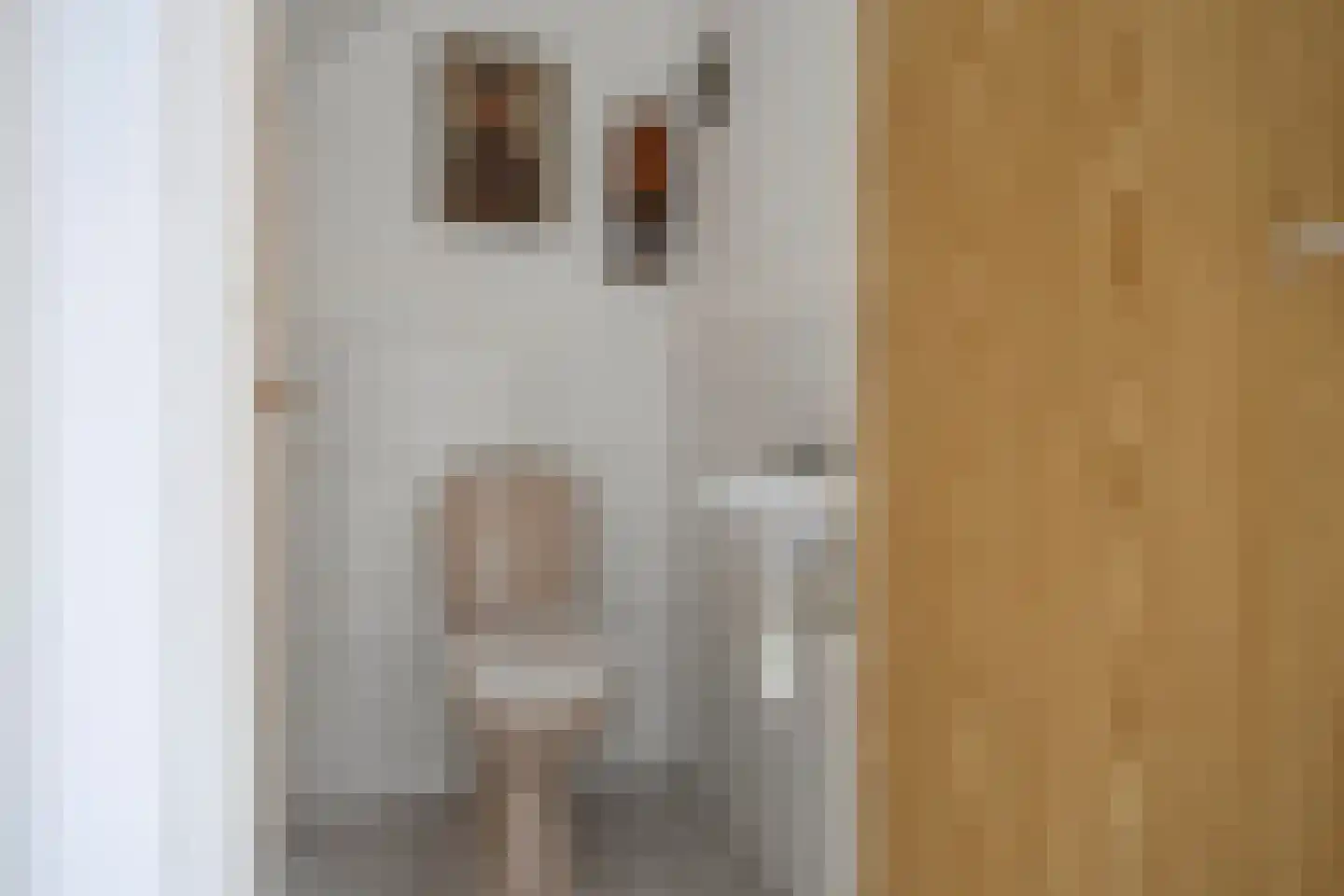Leeuwerikstraat 42 Breda thumbnail 12