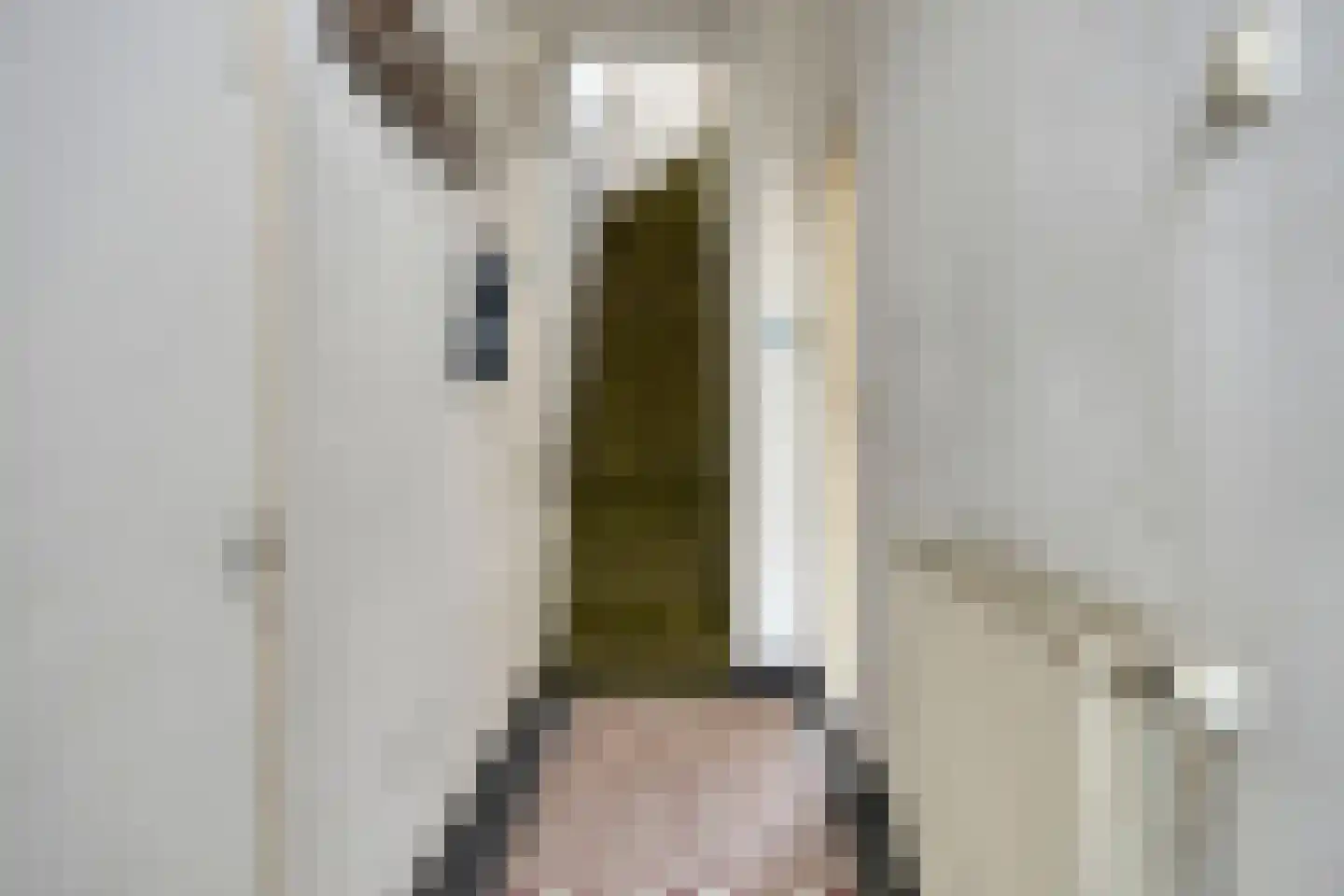 Leeuwerikstraat 42 Breda thumbnail 7