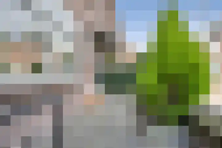 Leeuwerikstraat 44 Haarlem thumbnail 38