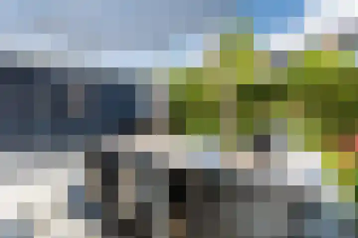 Leeuwerikstraat 45 Hilversum thumbnail 28