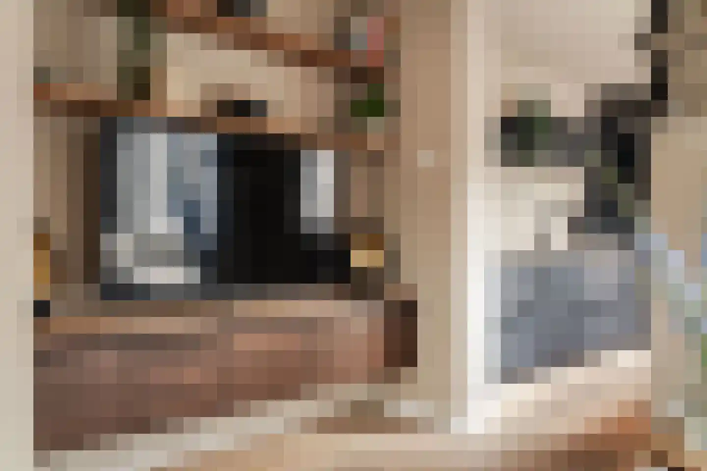 Leeuwerikstraat 46 Haarlem thumbnail 11