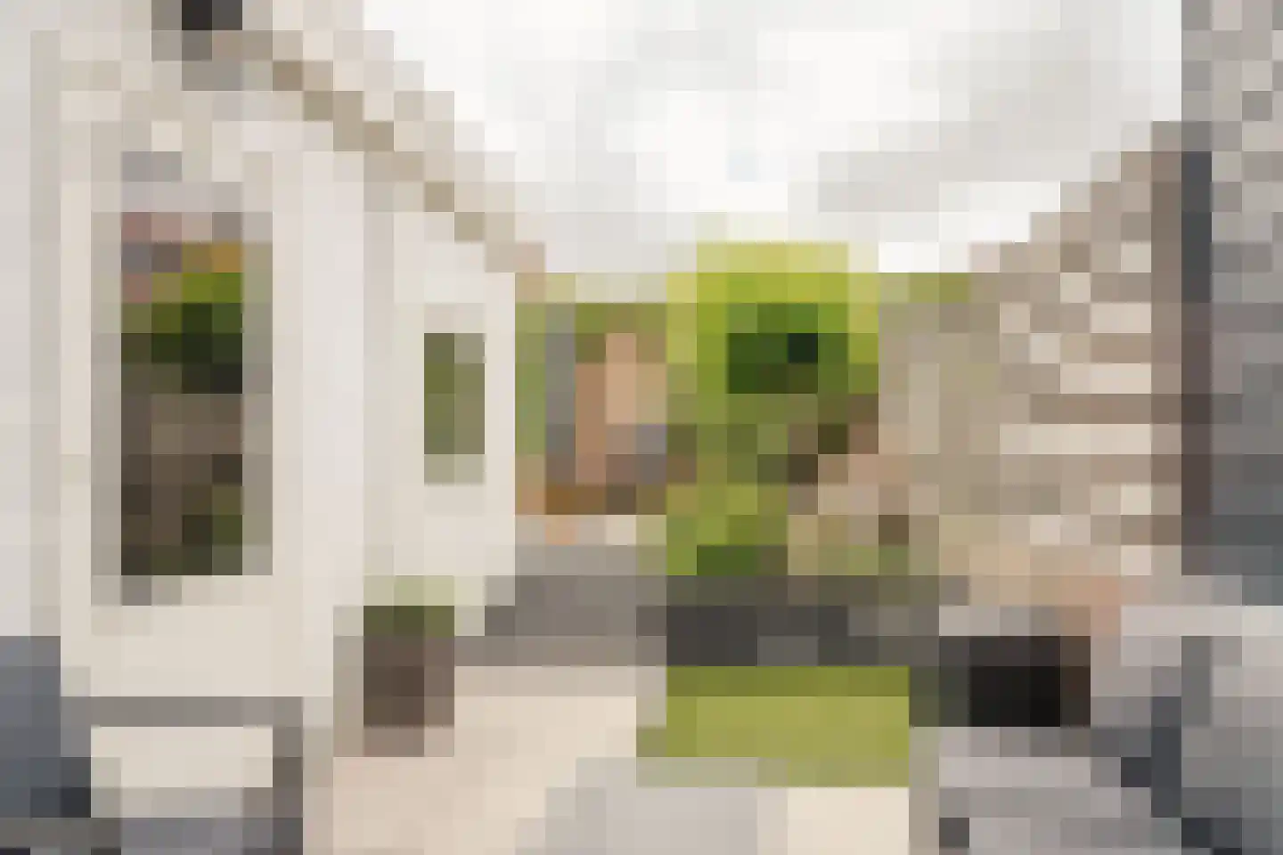 Leeuwerikstraat 46 Haarlem thumbnail 16