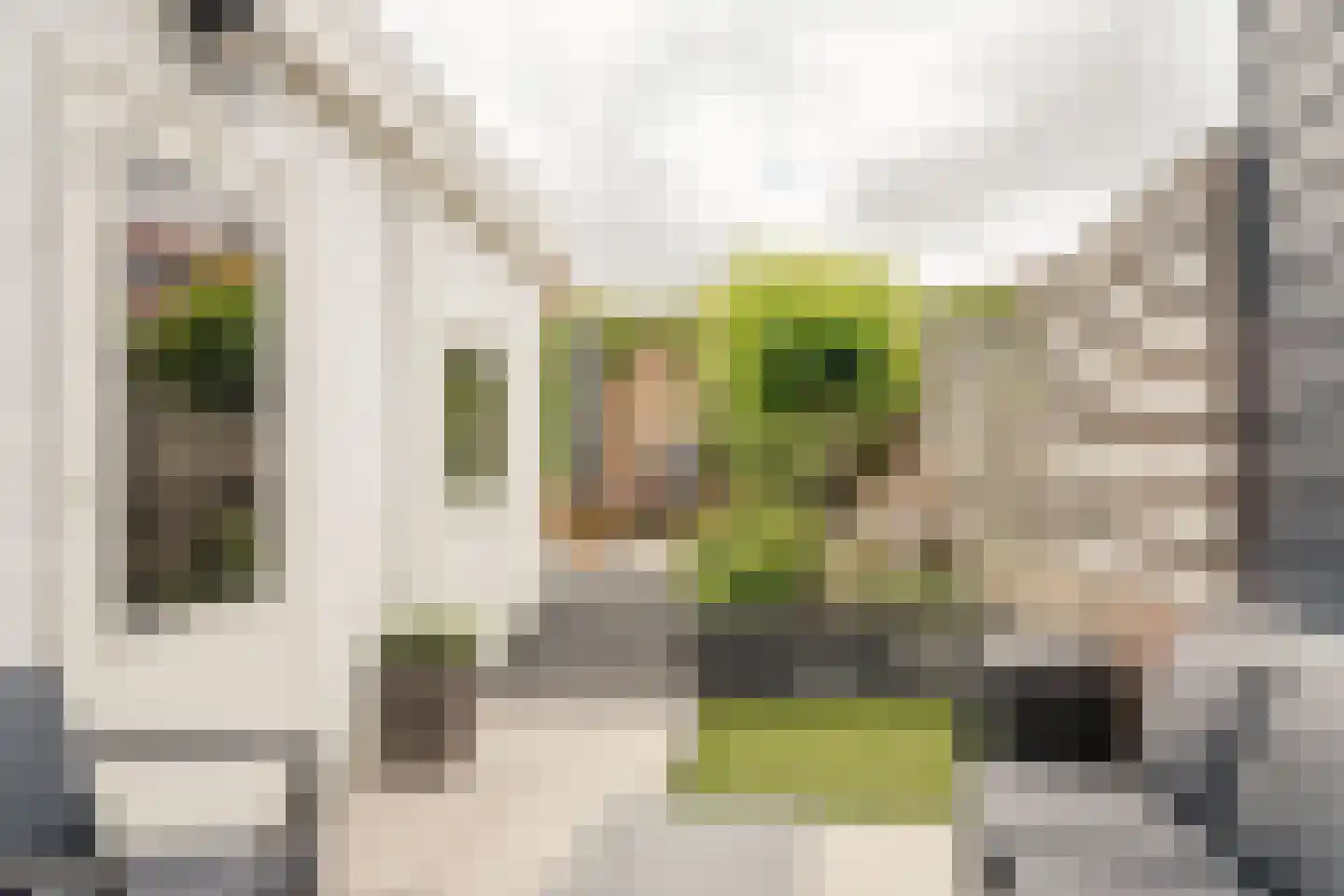 Leeuwerikstraat 46 Haarlem thumbnail 4