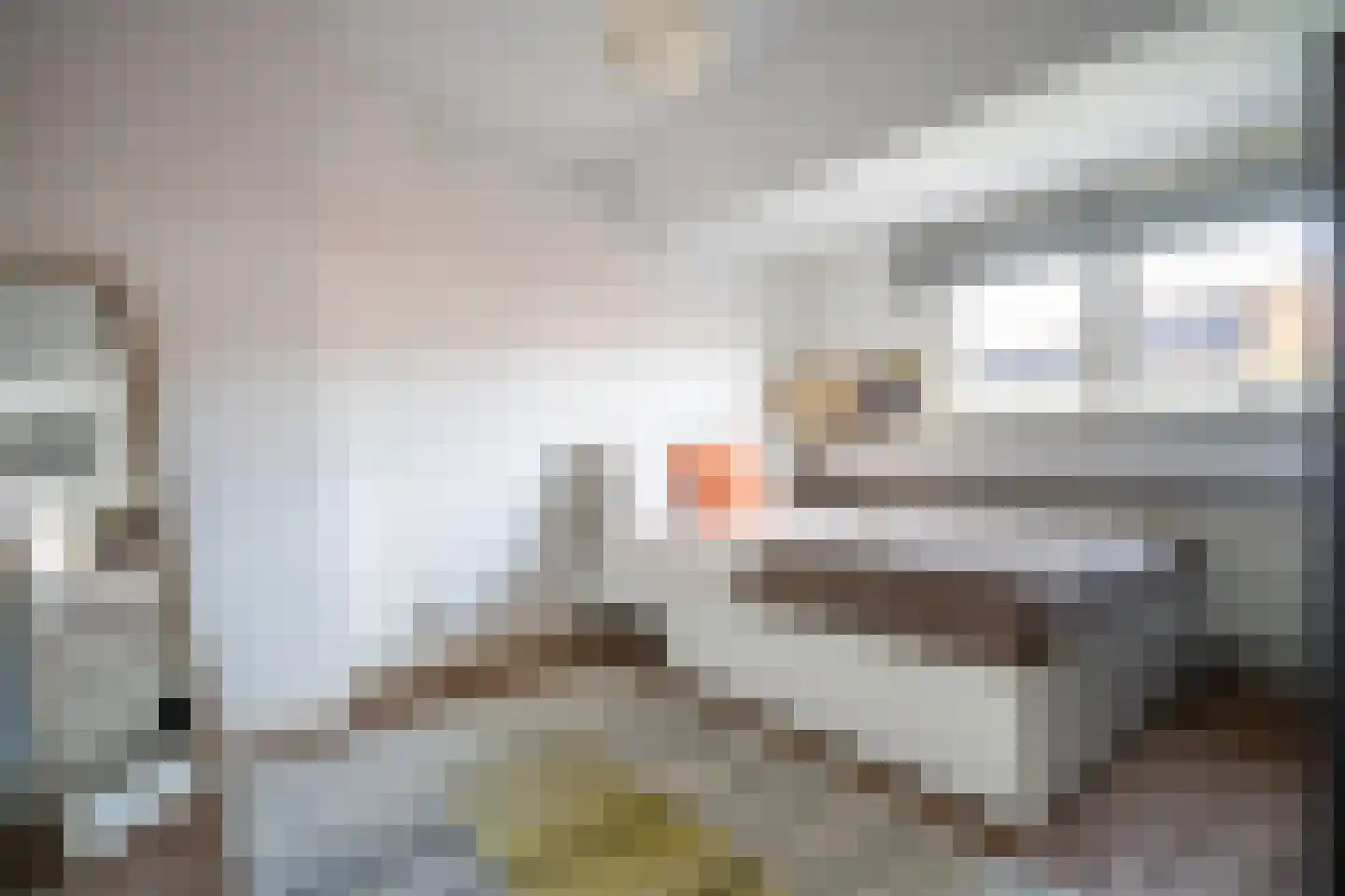 Leeuwerikstraat 47 Hilversum thumbnail 40