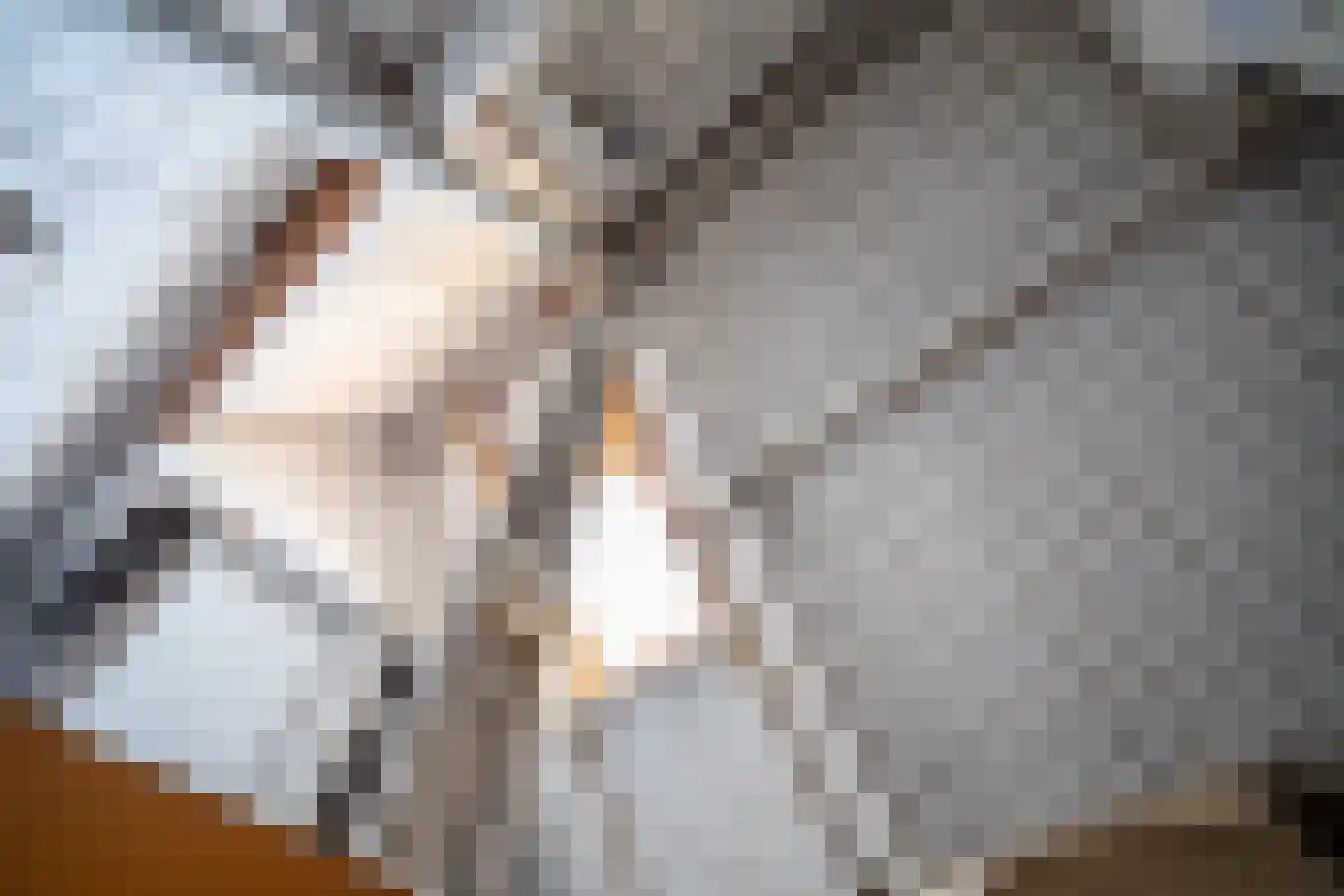 Leeuwerikstraat 47 Hilversum thumbnail 45