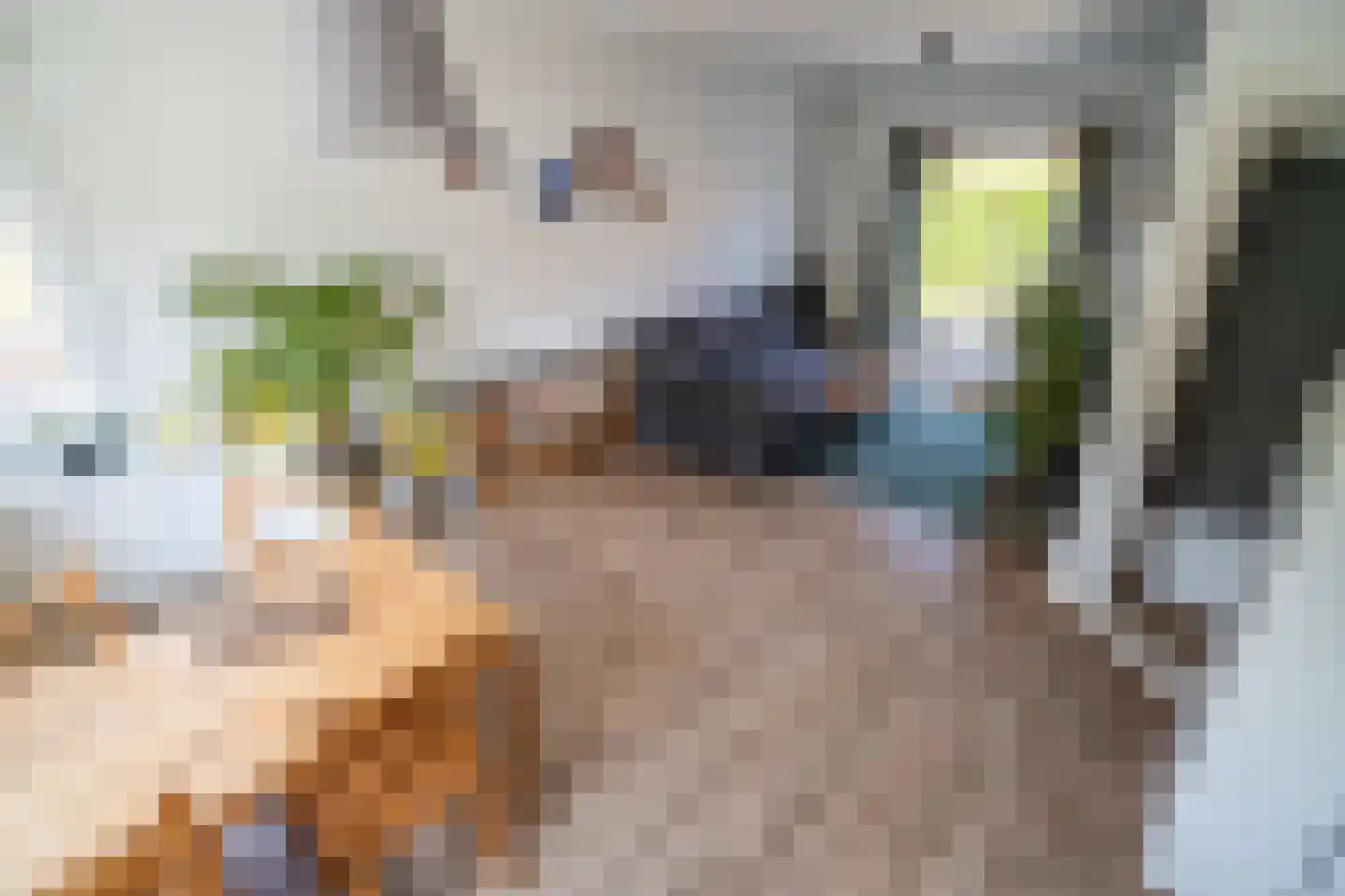 Leeuwerikstraat 47 Hilversum thumbnail 6