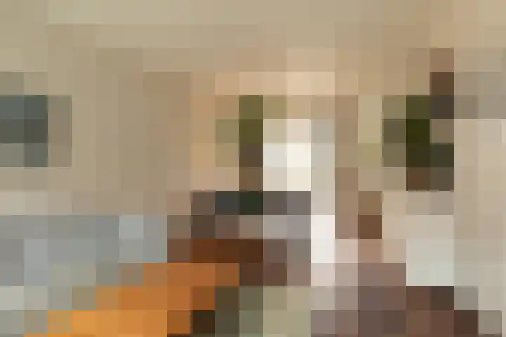 Leeuwerikstraat 48 Hilversum thumbnail 5