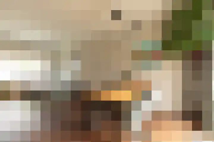 Leeuwerikstraat 48 Hilversum thumbnail 6