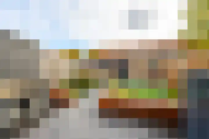 Leeuwerikstraat 5 Bleskensgraaf ca thumbnail 26