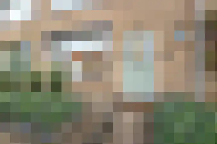 Leeuwerikstraat 5 Bleskensgraaf ca thumbnail 28