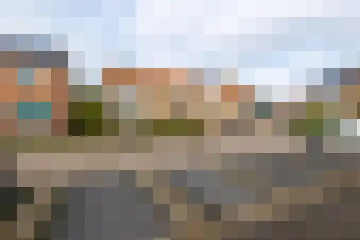 Leeuwerikstraat 5 Bleskensgraaf ca thumbnail 29