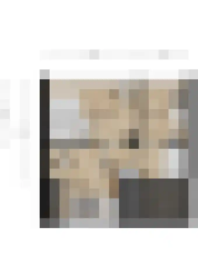 Leeuwerikstraat 5 Bleskensgraaf ca thumbnail 32
