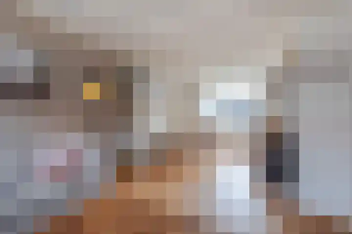 Leeuwerikstraat 5 Bleskensgraaf ca thumbnail 6