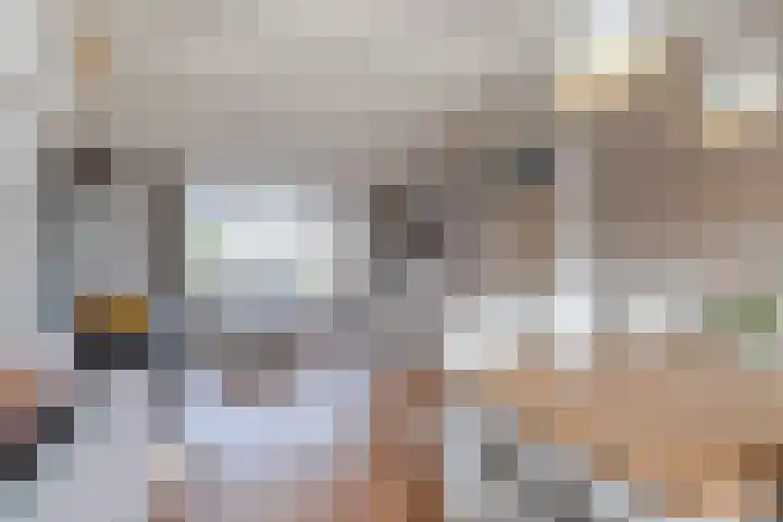 Leeuwerikstraat 5 Bleskensgraaf ca thumbnail 8