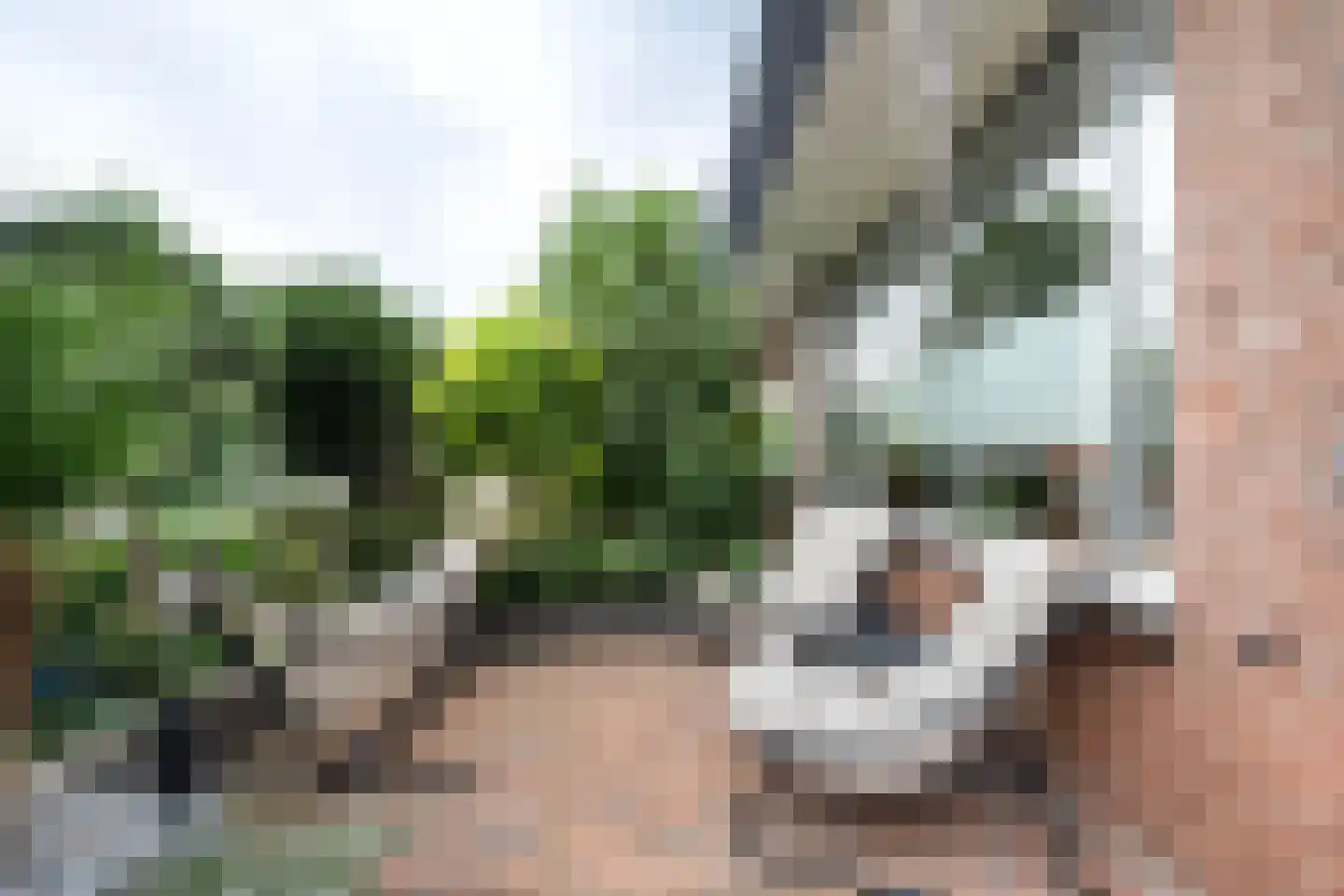 Leeuwerikstraat 5 Leiderdorp thumbnail 11