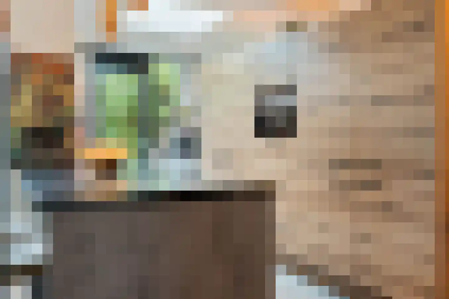 Leeuwerikstraat 5 Leiderdorp thumbnail 17