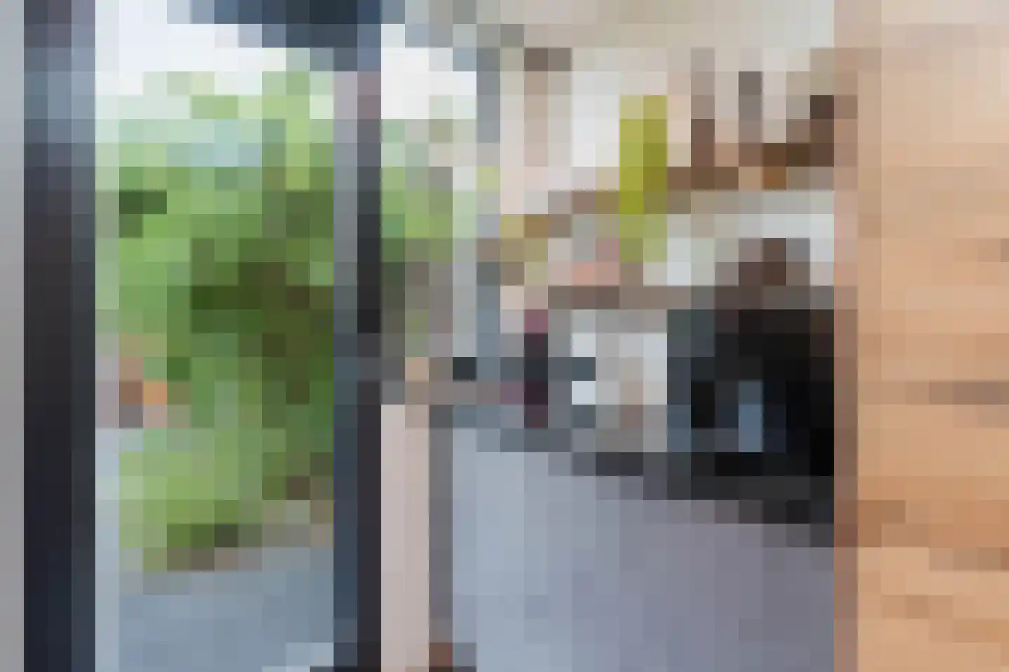 Leeuwerikstraat 5 Leiderdorp thumbnail 18