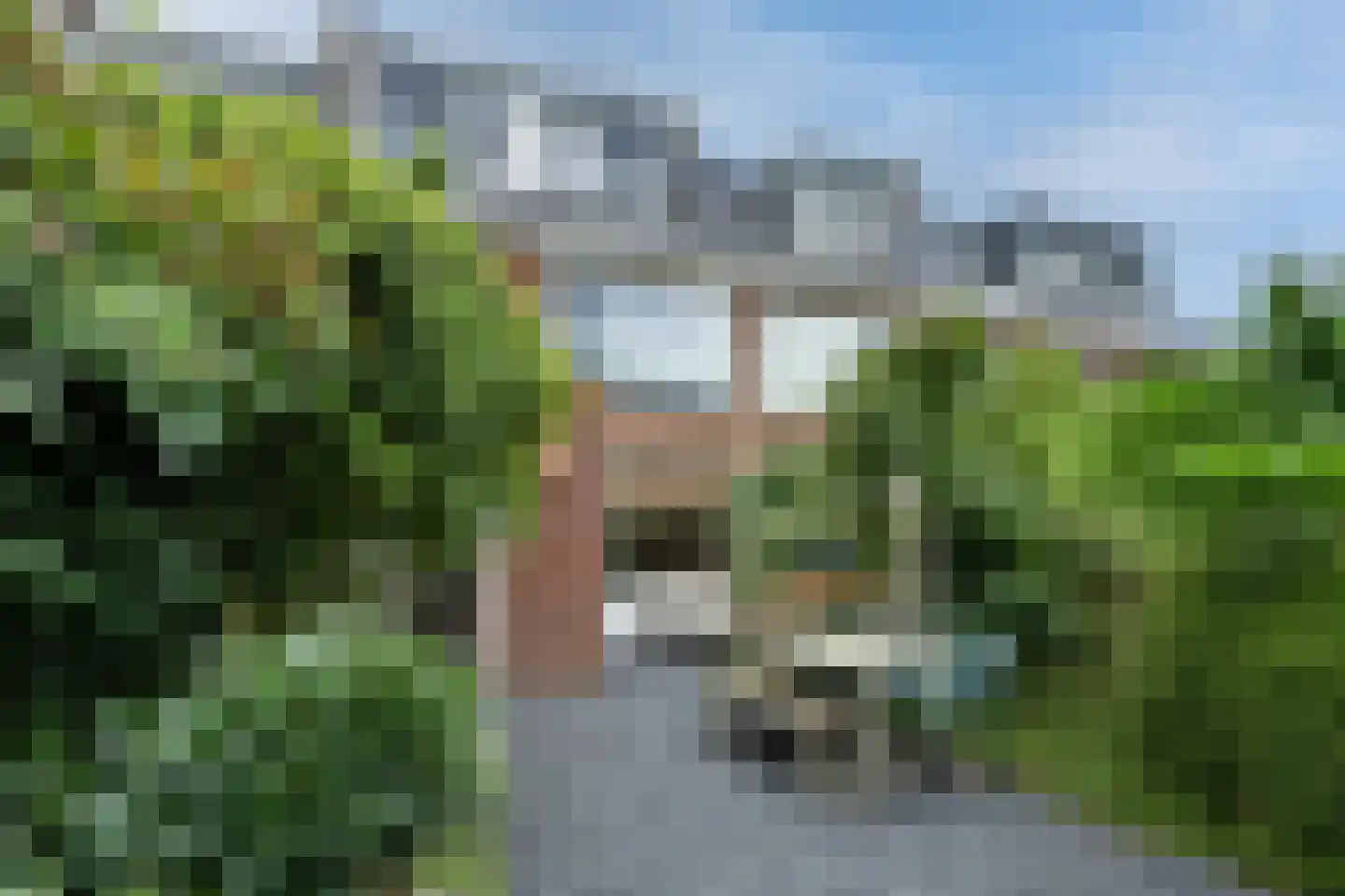 Leeuwerikstraat 5 Leiderdorp thumbnail 21