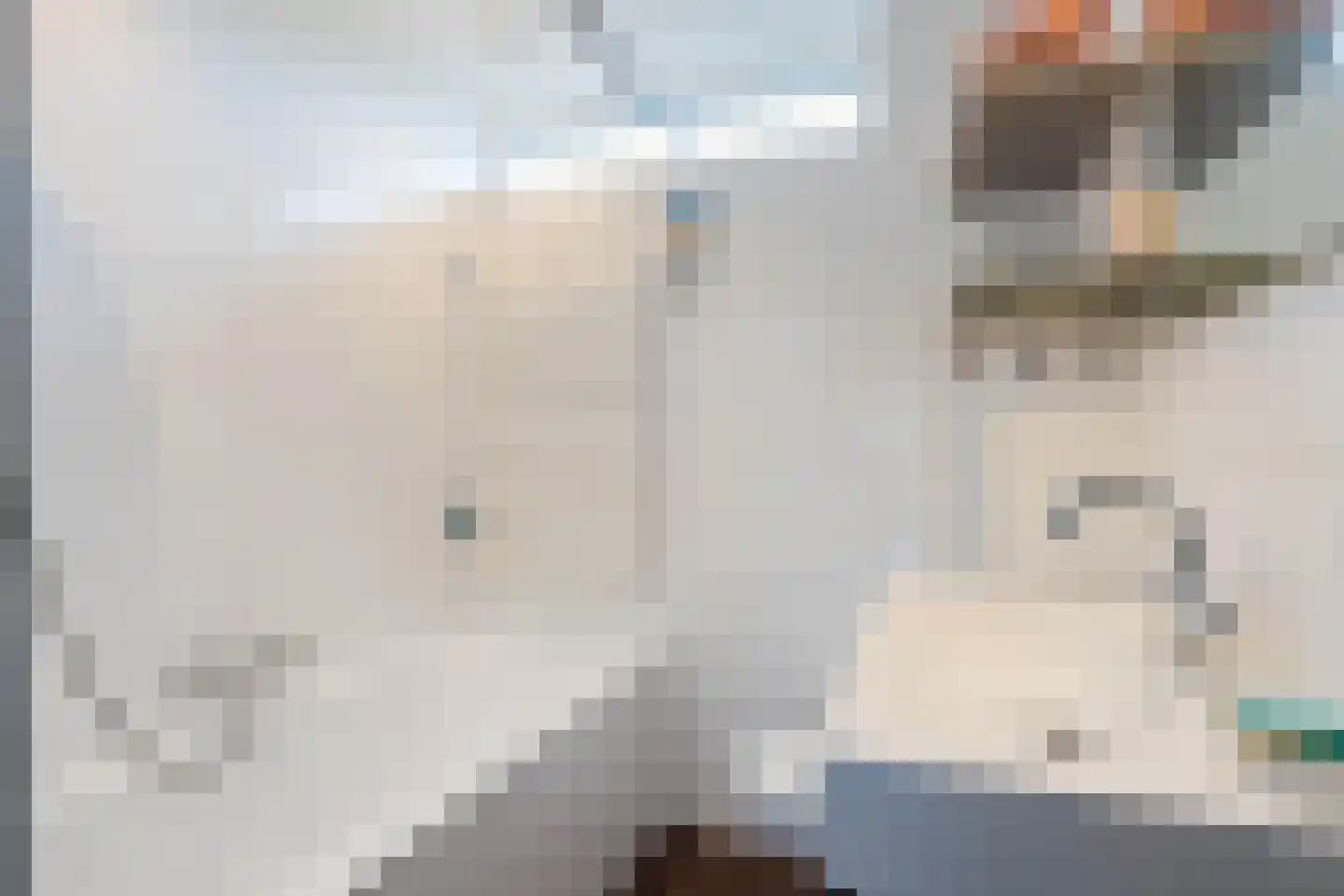 Leeuwerikstraat 5 Leiderdorp thumbnail 33