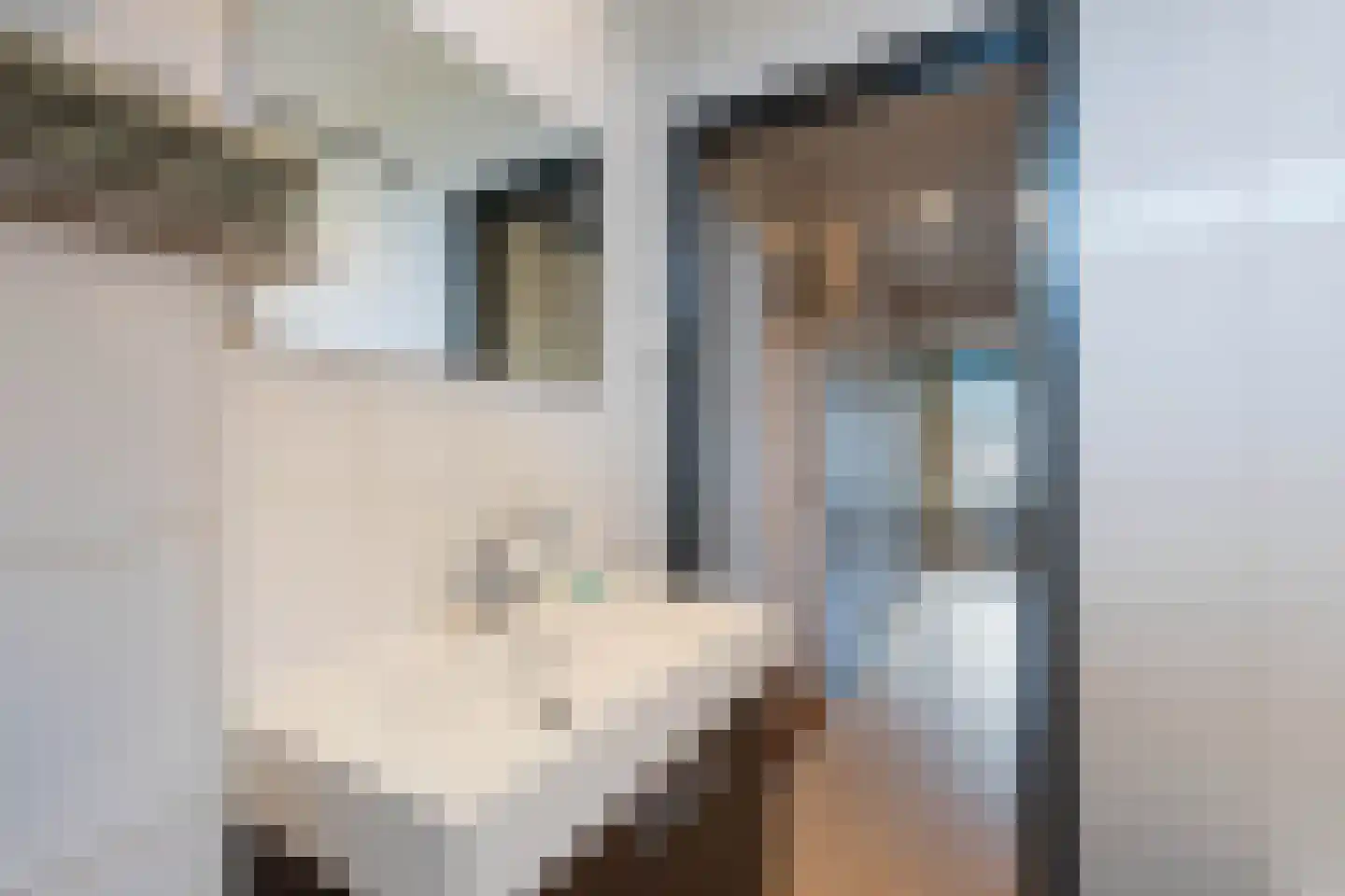 Leeuwerikstraat 5 Leiderdorp thumbnail 34