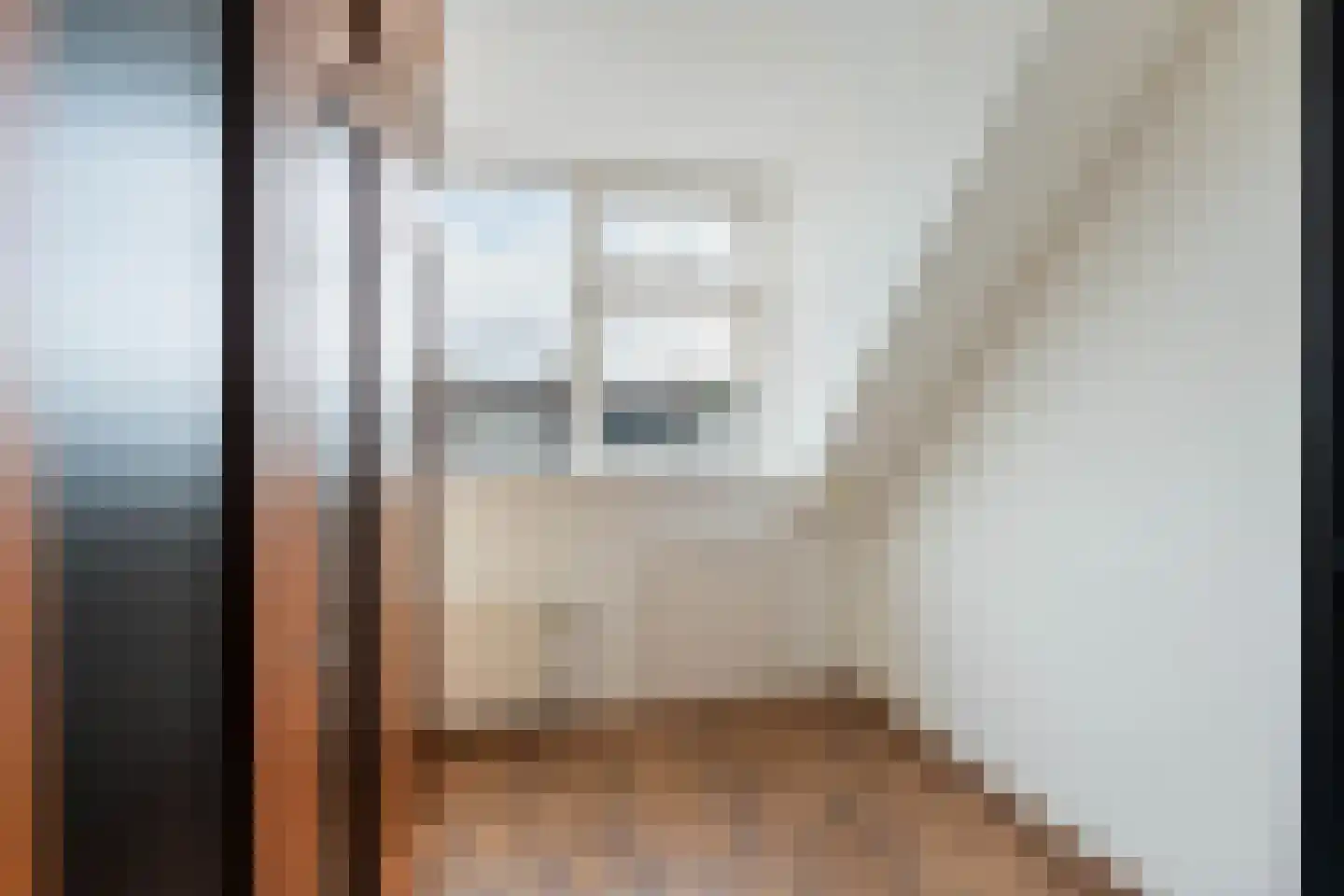 Leeuwerikstraat 5 Leiderdorp thumbnail 39