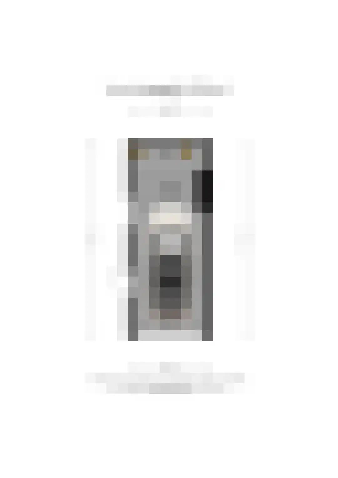 Leeuwerikstraat 51 St. Willebrord thumbnail 38
