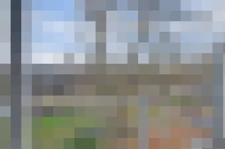 Leeuwerikstraat 51 Wormerveer thumbnail 8