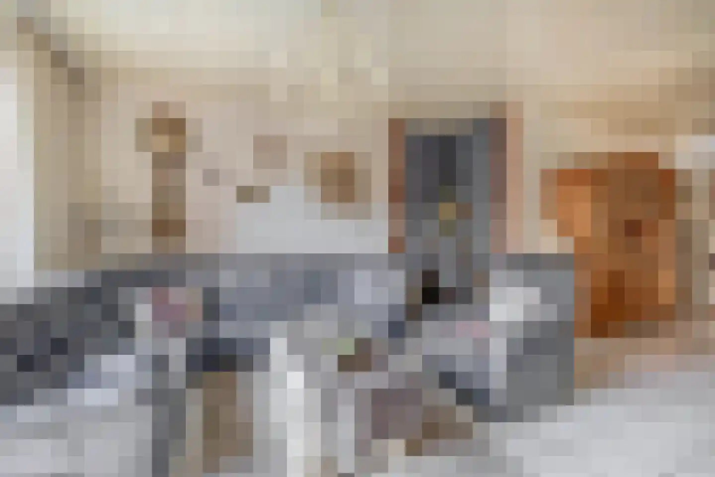 Leeuwerikstraat 52 Venlo thumbnail 33