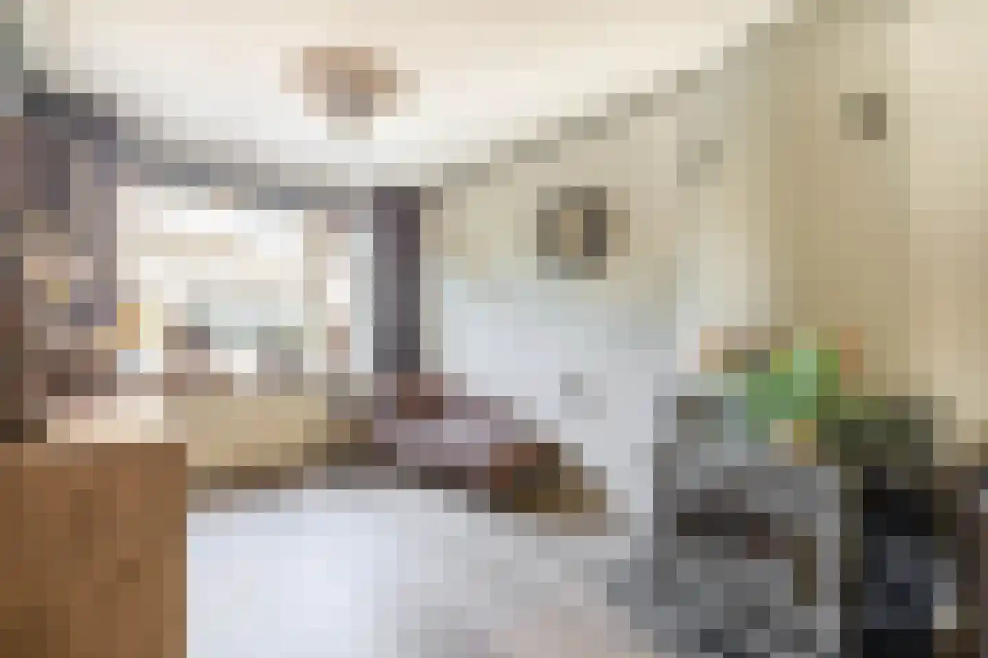 Leeuwerikstraat 52 Venlo thumbnail 4