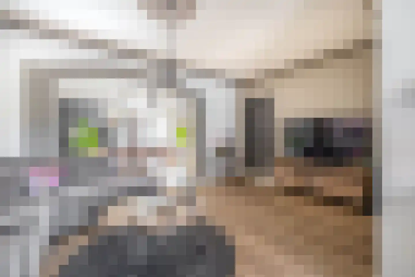 Leeuwerikstraat 52 Venlo thumbnail 7