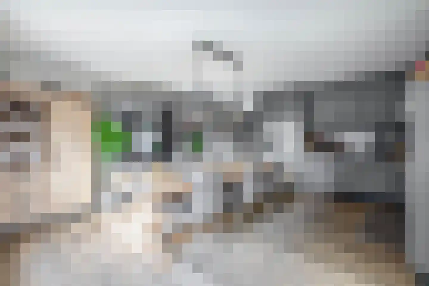 Leeuwerikstraat 52 Venlo thumbnail 8
