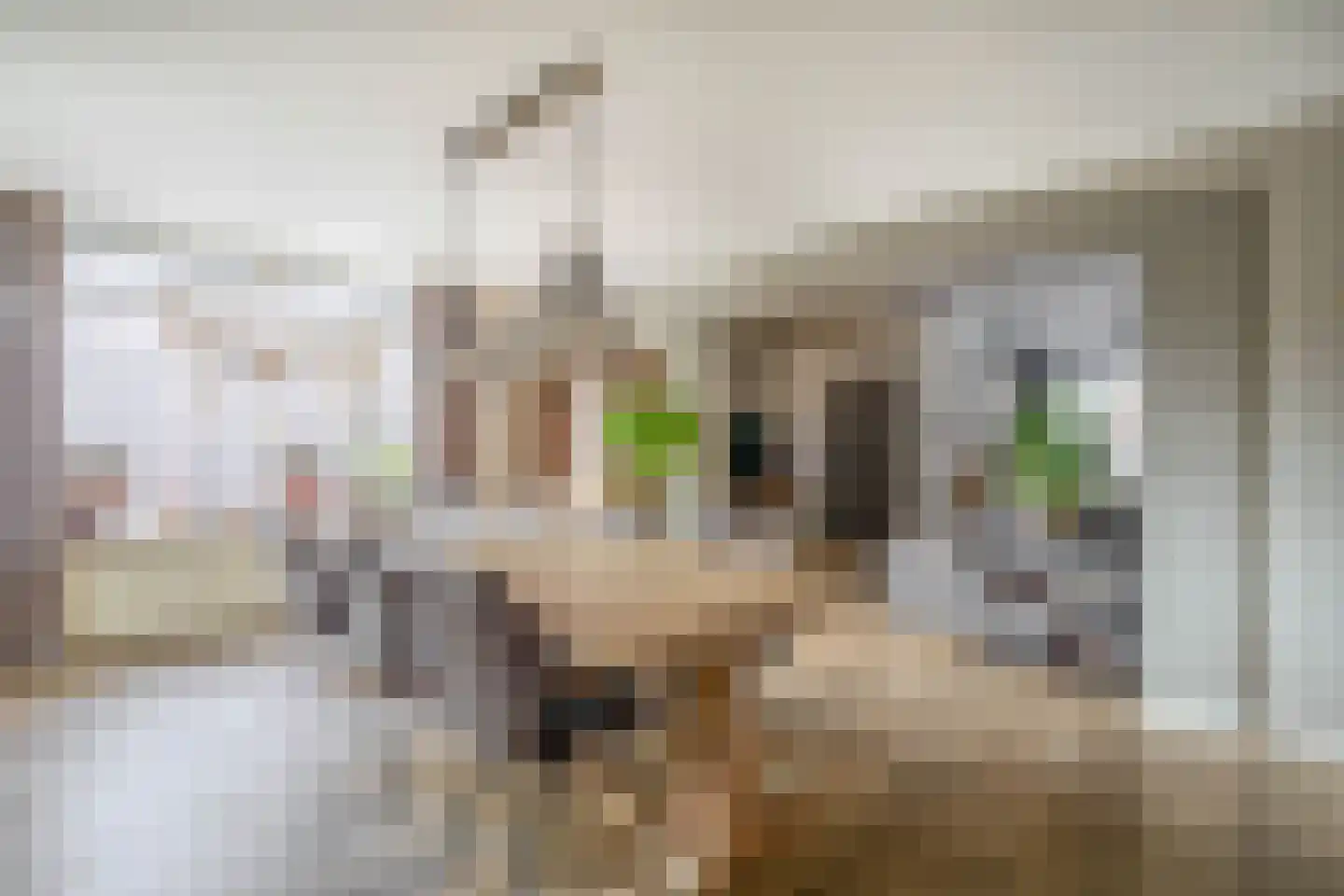 Leeuwerikstraat 52 Venlo thumbnail 9