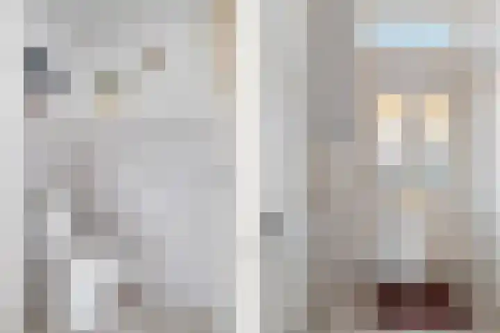 Leeuwerikstraat 53 Breda thumbnail 16