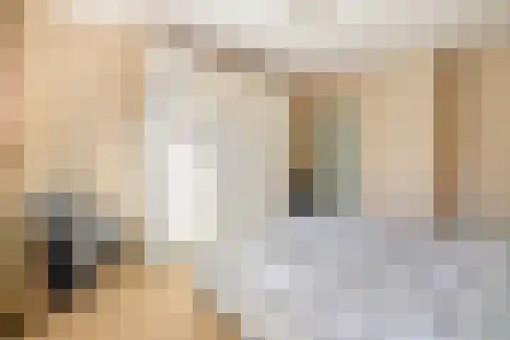 Leeuwerikstraat 53 Breda thumbnail 37