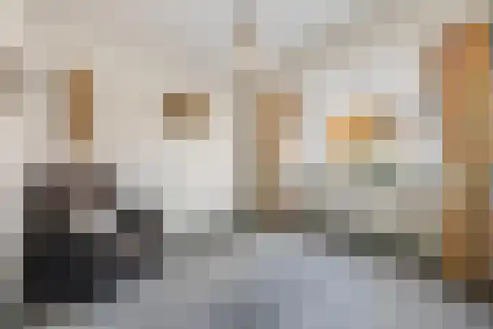 Leeuwerikstraat 53 Breda thumbnail 39