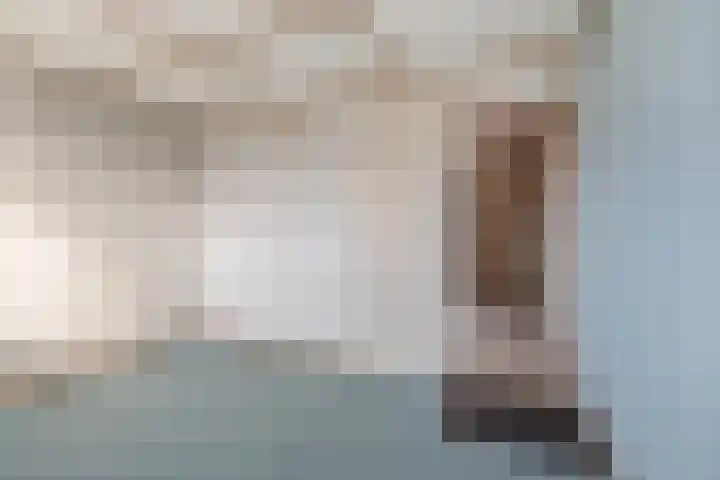 Leeuwerikstraat 53 Breda thumbnail 57