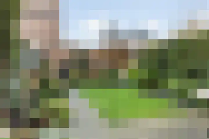 Leeuwerikstraat 53 Breda thumbnail 58