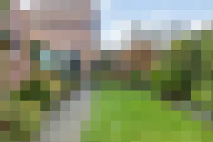 Leeuwerikstraat 53 Breda thumbnail 59