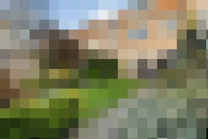 Leeuwerikstraat 53 Breda thumbnail 60