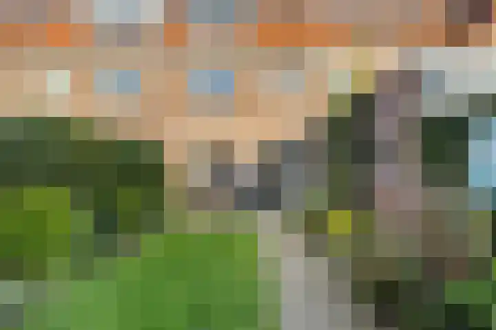 Leeuwerikstraat 53 Breda thumbnail 61