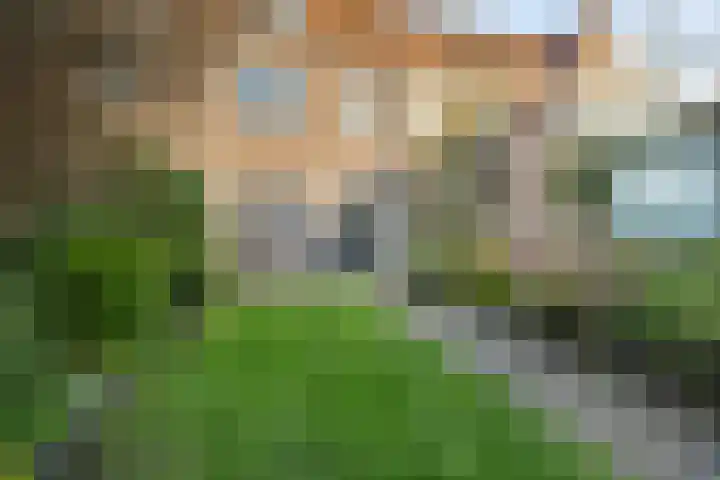 Leeuwerikstraat 53 Breda thumbnail 63