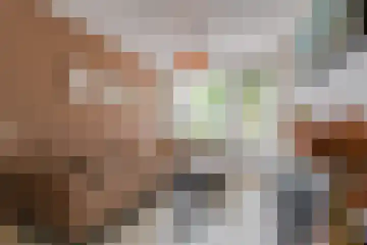 Leeuwerikstraat 53 Wormerveer thumbnail 6